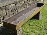 Salvaged Cast-iron Planter