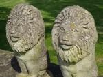 Pair Weathered Lions