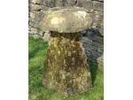Antique Limestone Staddlestone