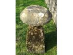 Antique Limestone Staddlestone