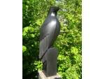 Paul Harvey 'Raven'