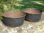 Pair Salvaged From Bowls