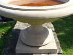 Tazza Birdbath