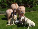 Pithos Jar