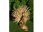 Peacock Teak Root Sculpture