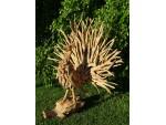 Peacock Teak Root Sculpture