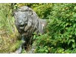 Bronze lion in bushes 