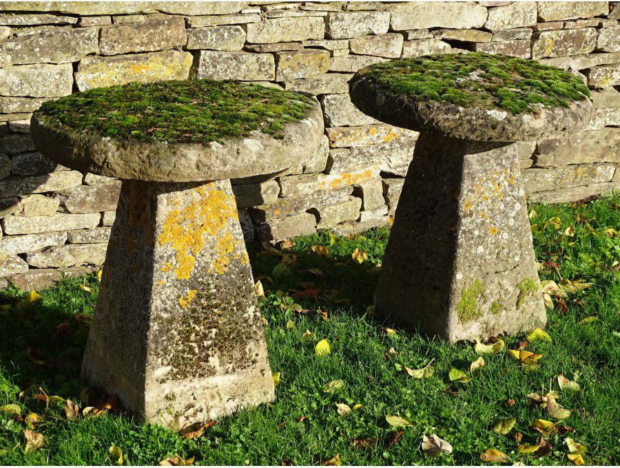 Weathered Staddlestones