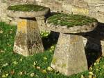 Weathered Staddlestones