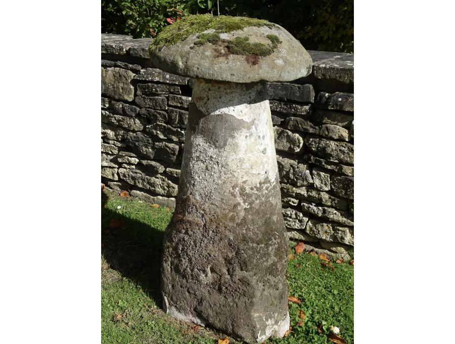 Antique Sandstone Staddlestone
