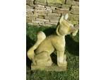 Weathered Stone Fox