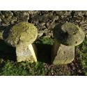Antique Limestone Staddlestones