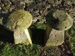 Antique Limestone Staddlestones
