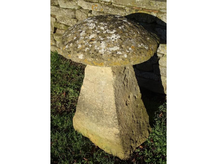 Antique Limestone Staddlestone