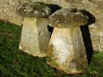 Antique Staddlestones