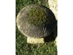 Antique Limestone Staddlestone