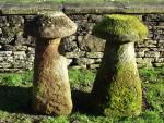 Antique Sandstone staddlestones