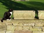 Weathered Garden Troughs (Pair)