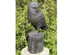 Bronze Owl Sculpture