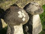 Two Antique Staddlestones