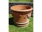 Large Terracotta Planter