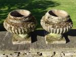Weathered Garden Urns (Pair)