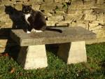 Carved Stone Garden Seat