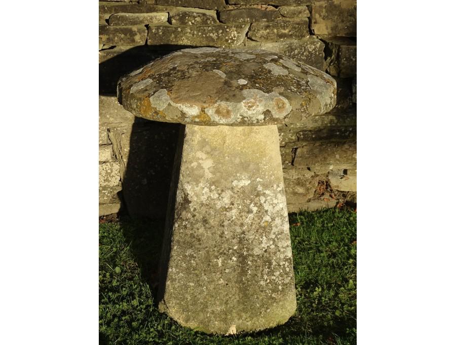 Antique Limestone Staddlestone