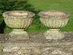 Weathered Garden Urns (Pair)