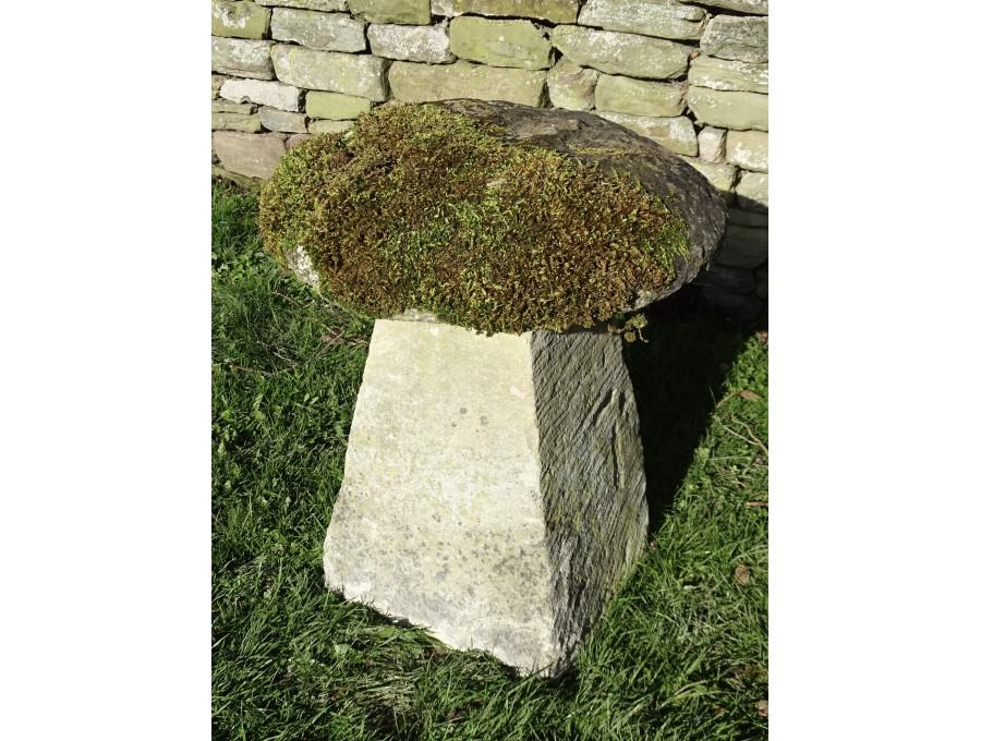 Antique Limestone Staddlestone