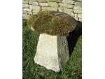 Antique Limestone Staddlestone