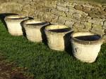 Weathered Tudor Rose Planters (Set)