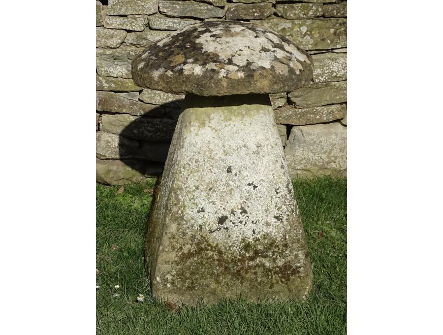 Antique Limestone Staddlestone
