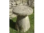 Antique Limestone Staddlestone