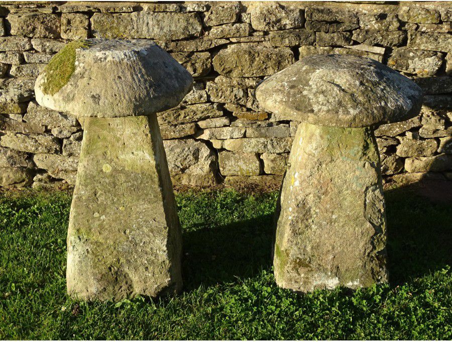 Antique Limestone Staddlestones