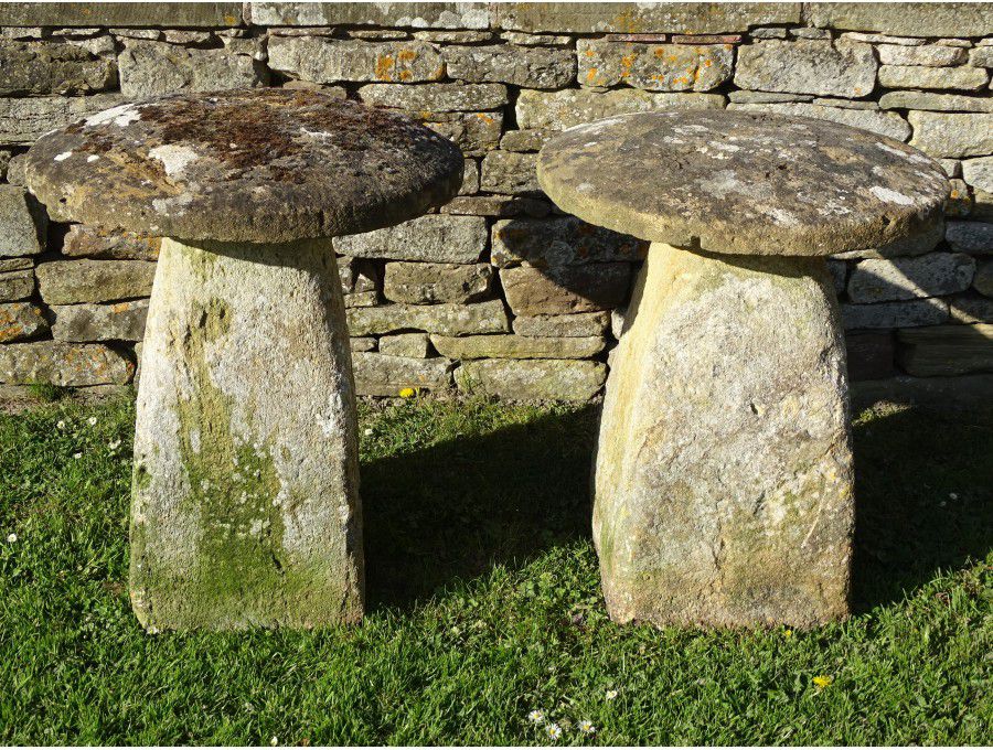 Hamstone Staddlestones (Pair)