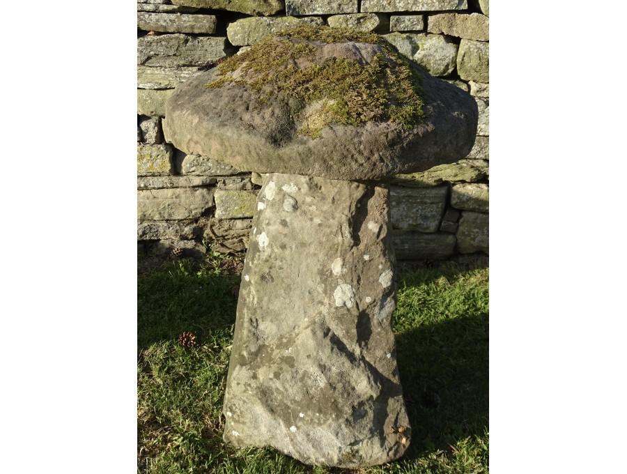 Antique Sandstone Staddlestone