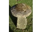 Antique Sandstone Staddlestone