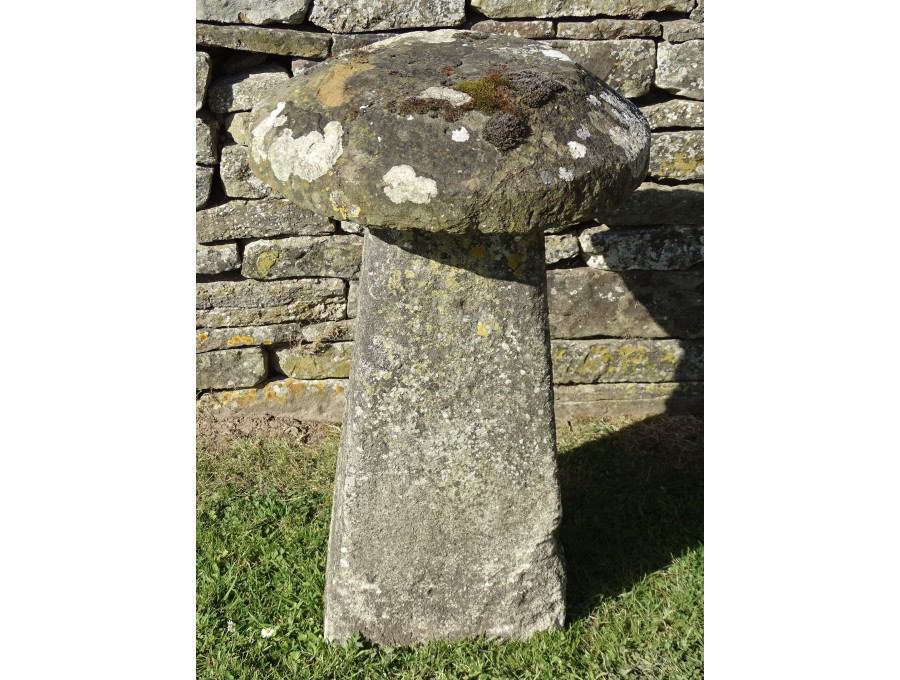 Antique Limestone Staddlestone