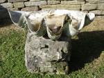 Clam Shell Birdbath