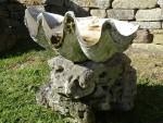 Clam Shell Birdbath