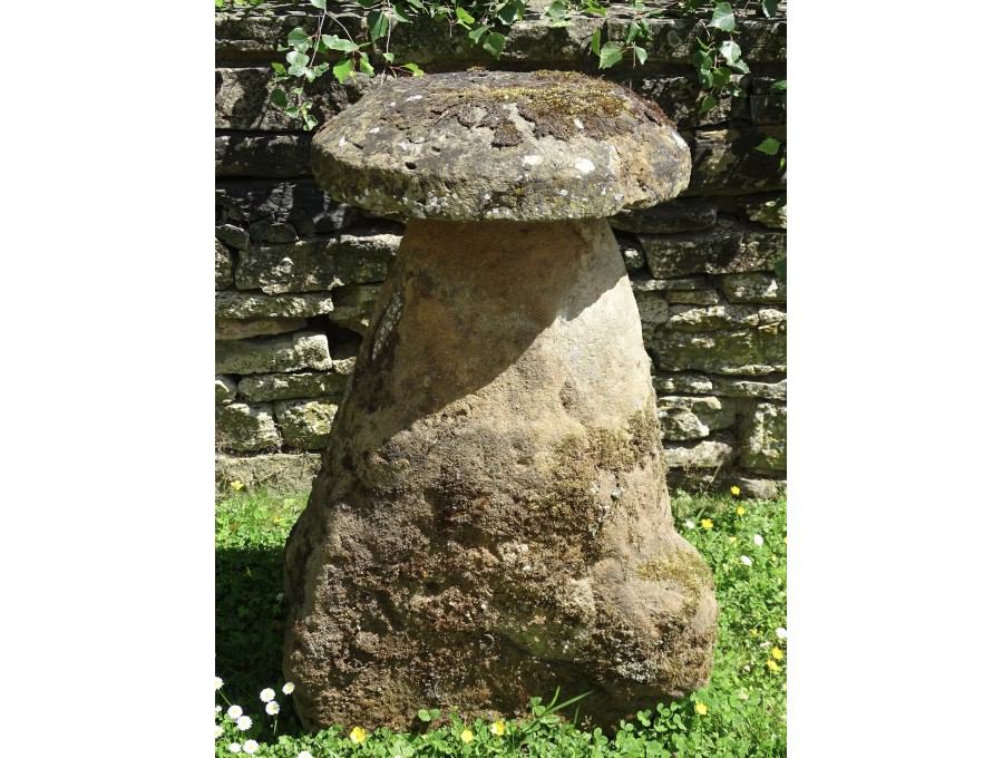 Antique Sandstone Staddlestone