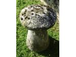 Antique Limestone Staddlestone