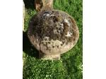 Antique Sandstone Staddlestone