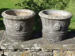 Tudor Rose Planters (Pair)