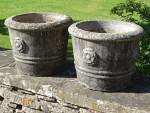 Tudor Rose Planters (Pair)