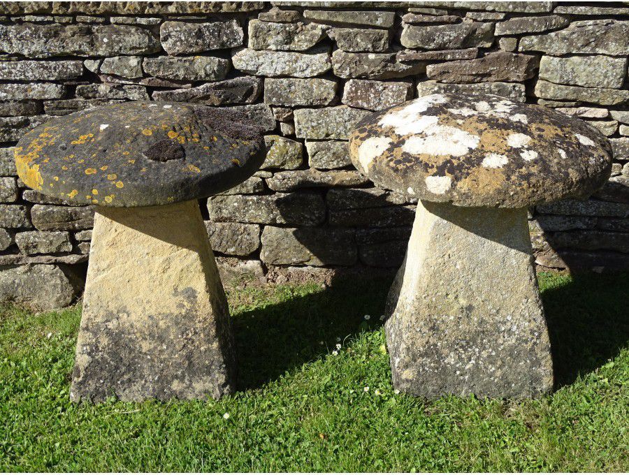 Antique Limestone Staddlestones