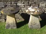 Antique Limestone Staddlestones
