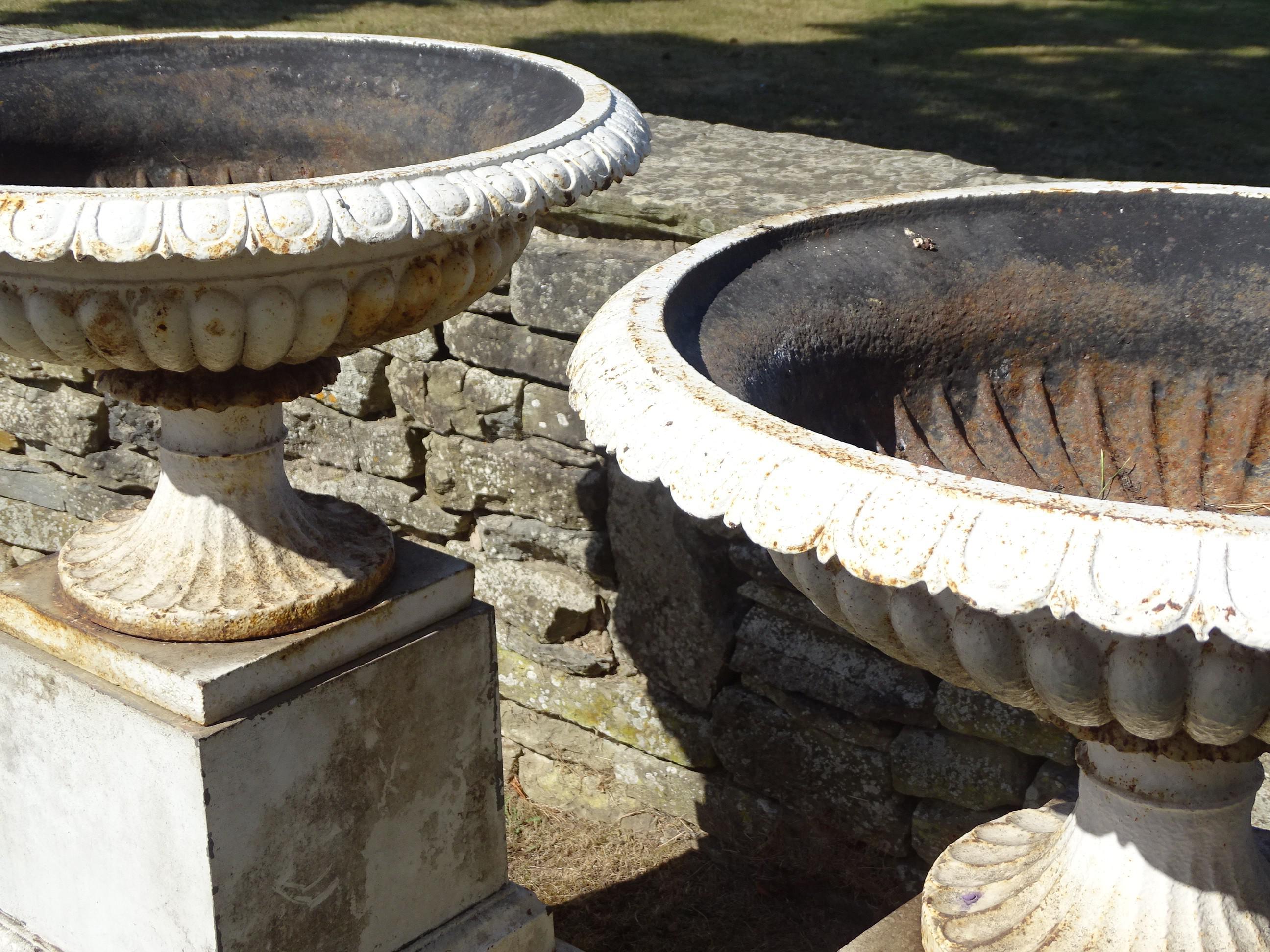 Large Cast Iron Urns (Pair)