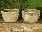 Weathered Tudor Rose Planters (Pair)
